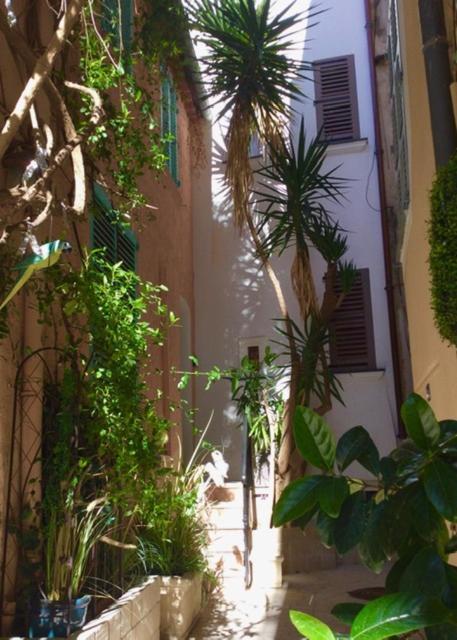 Petite Maison Mitoyenne Au Coeur De Saint Tropez Ngoại thất bức ảnh